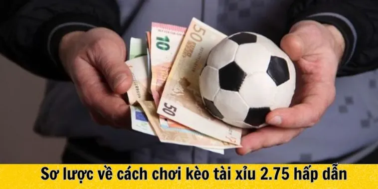Chinh Phục Kèo 2.75 Keovip Online Với Chiến Thuật Chuẩn Xác